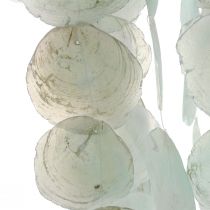 Capiz campanello a vento da appendere decorazione conchiglia verde Ø29cm 160cm