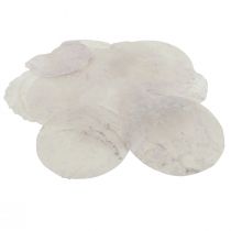 Capiz conchiglie dischi madreperla decorazione marittima Ø7cm 600g