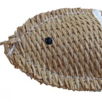 Decorazione da appendere pesce decorativo da appendere decorazione marina rigata 14,5×6 cm