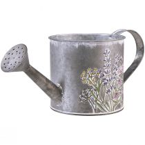 Annaffiatoio decorativo in metallo per piantare vaso per piante 13,5 cm