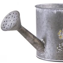 Prodotto Annaffiatoio decorativo in metallo per piantare vaso per piante 13,5 cm