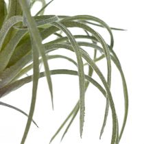 Prodotto Tillandsia Succulente Piante Verdi Artificiali 13cm