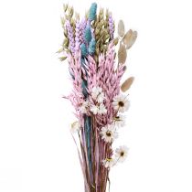 Mazzo di fiori secchi fiori di paglia Phalaris grano 58 cm
