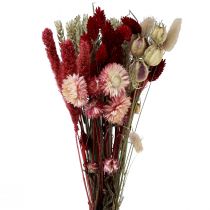 Prodotto Mazzo di fiori secchi fiori di paglia Phalaris rosso 30 cm