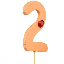 Prodotto Tappi numerici compleanno 2 tappi floreali in legno 27,5 cm 16 pz