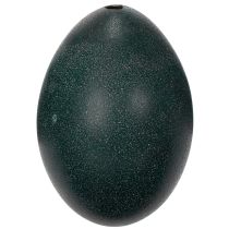 Prodotto Decorazioni Emuei per addobbi festivi per la casa e tocchi di stile per Pasqua