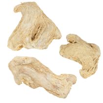Prodotto Decorazione allo zenzero essiccato Decorazione naturale 500g