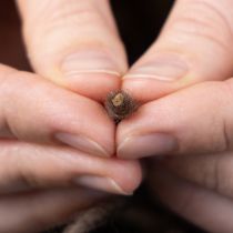 Prodotto Filo di stoppino, cordino di lana, marrone, spago decorativo da 55 m per fiori e artigianato