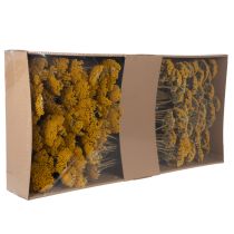 Prodotto Achillea Natur Gelb Fiori secchi di Achillea Gialli 1kg