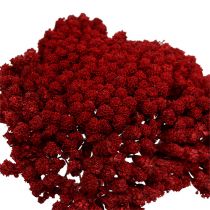 Prodotto Achillea 1kg vino rosso