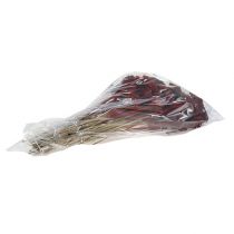 Prodotto Achillea 1kg vino rosso