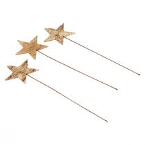 Prodotto Stelle decorative da incollare Stelle decorative in corteccia d&#39;albero Avvento 22 cm 24 pz