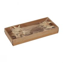 Prodotto Stelle decorative da incollare Stelle decorative in corteccia d'albero Avvento 22 cm 24 pz