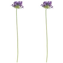 Prodotto Fiori artificiali di agapanto, gigli viola decorativi, 75 cm, 2 pezzi