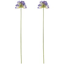 Prodotto Agapanthus Fiori artificiali di giglio africano viola L75 cm 2 pezzi