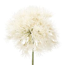 Prodotto Fiore artificiale di allium, design delicato per uso interno, 68 cm