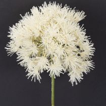 Prodotto Fiore artificiale di allium, design delicato per uso interno, 68 cm
