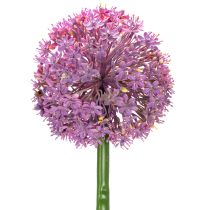 Prodotto Fiore artificiale di Allium, cipolla ornamentale, elegante decorazione per la stanza, 90 cm