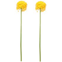Prodotto Cipolla artificiale Allium Yellow Flower 80 cm Ø14,5 cm 2 pezzi