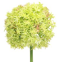 Prodotto Cipolla ornamentale artificiale fiore verde allium Ø18cm 90cm