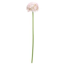 Prodotto Allium con fiori rosa cipolla artificiale Ø18cm L90cm
