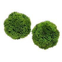 Palla Allium 5cm Verde 4 pezzi