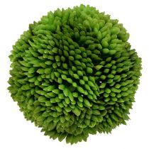 Palla Allium 5cm Verde 4 pezzi