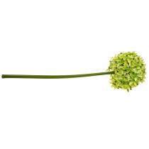 Prodotto Cipolla ornamentale Allium, fiore di seta, palla artificiale verde porro Ø20cm L72cm
