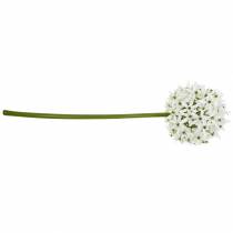 Prodotto Fiore decorativo Allium, porro palla artificiale, cipolla ornamentale bianca Ø20cm L72cm