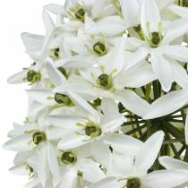 Prodotto Fiore decorativo Allium, porro palla artificiale, cipolla ornamentale bianca Ø20cm L72cm