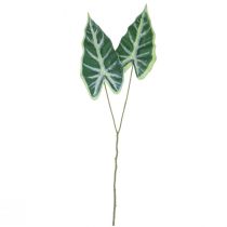 Prodotto Alocasia Elephant Ear Arrow Leaf Piante Artificiali Verde 55cm