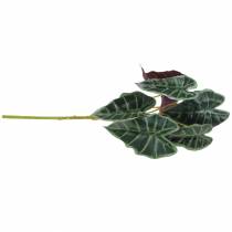 Prodotto Pianta artificiale Alocasia freccia verde foglia, viola H48cm