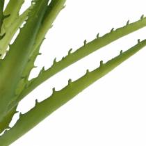 Prodotto Aloe Vera Verde artificiale 26cm