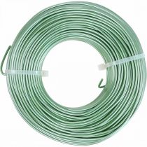 Filo di alluminio Ø2mm Verde Opaco 500g 60m