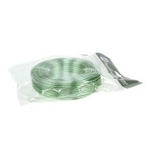 Prodotto Filo di alluminio 2 mm 500 g, 60 m verde menta - filo di ferro per decorazioni, fiori e modellismo