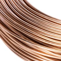 Prodotto Filo di alluminio da 2 mm per floricoltura e artigianato, 60 m, 500 g