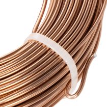 Prodotto Filo di alluminio da 2 mm per floricoltura e artigianato, 60 m, 500 g