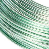 Prodotto Filo di alluminio decorativo da 2 mm, filo per lavori artigianali, 60 m, 500 g