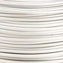 Prodotto Filo di alluminio Ø2mm filo bonsai color crema 500g 60m