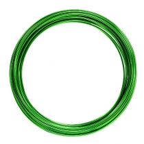 Prodotto Filo di alluminio 2mm 100g verde mela