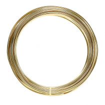 Prodotto Filo di alluminio 2mm 100g oro