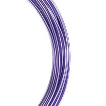 Prodotto Filo di alluminio 2mm 100g lavanda