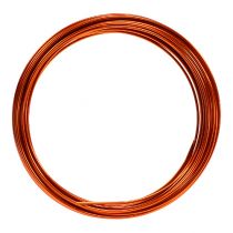 Prodotto Filo di alluminio 2mm 100g arancione