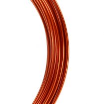 Prodotto Filo di alluminio 2mm 100g arancione