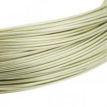 Prodotto Filo di alluminio Ø1mm filo per gioielli champagne rotondo 120g
