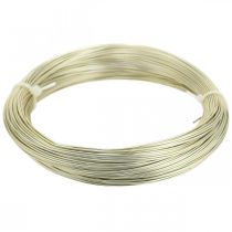 Prodotto Filo di alluminio Ø1mm filo per gioielli champagne rotondo 120g