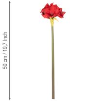 Prodotto Fiore di amarillide rosso artificiale con stelo, decorazione floreale per Natale, 50 cm