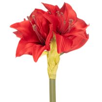 Prodotto Fiore di amarillide rosso artificiale con stelo, decorazione floreale per Natale, 50 cm