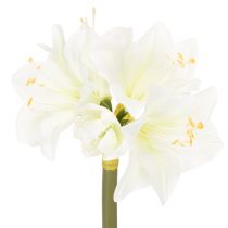 Prodotto Fiore di amarillide artificiale, bianco, con stelo, Avvento e Natale, 50 cm