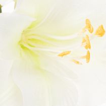 Prodotto Fiore di amarillide artificiale, bianco, con stelo, Avvento e Natale, 50 cm